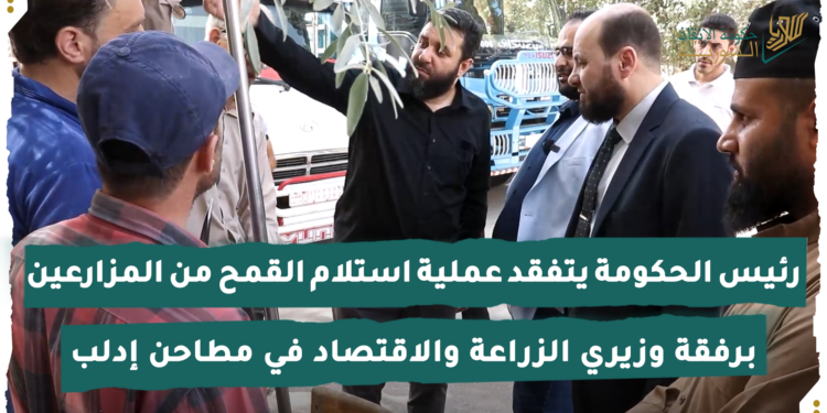 استلام القمح